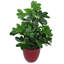 55cm Faux Plant in Pot Liner-125475143-124074659
