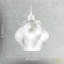20 cm H Round Glass Pendant Shade ( No Direct Attachment Method ) in Clear