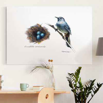 " Bird & Nest Study II "