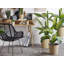 122cm Faux Dracaena Plant in Planter