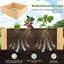 Holubice Wood Planter Box