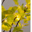 Indoor/ Outdoor Faux-Lighted Ginkgo Tree, 4'H Faux Foliage Tree in Metal Freestanding-30365762