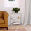 Candice 22 in. W Rectangular Clear Acrylic 2 Tier Etagere Bookcase, Clear