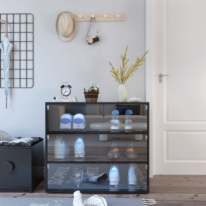 Armoire de rangement pour chaussures avec porte en verre, Noir, noir, noir, noir
