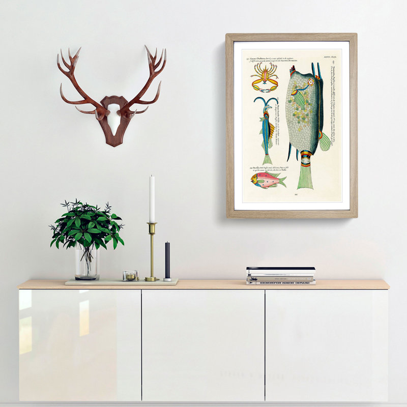 East Indies Fish & Crab Illustrations XXVII by Louis Renard - Picture Frame Painting Print, Oak Framed