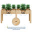 Metal Planter-1256846336-1256846337