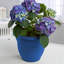 Pot à fleurs intérieur / extérieur Traditional-923313025-927975563