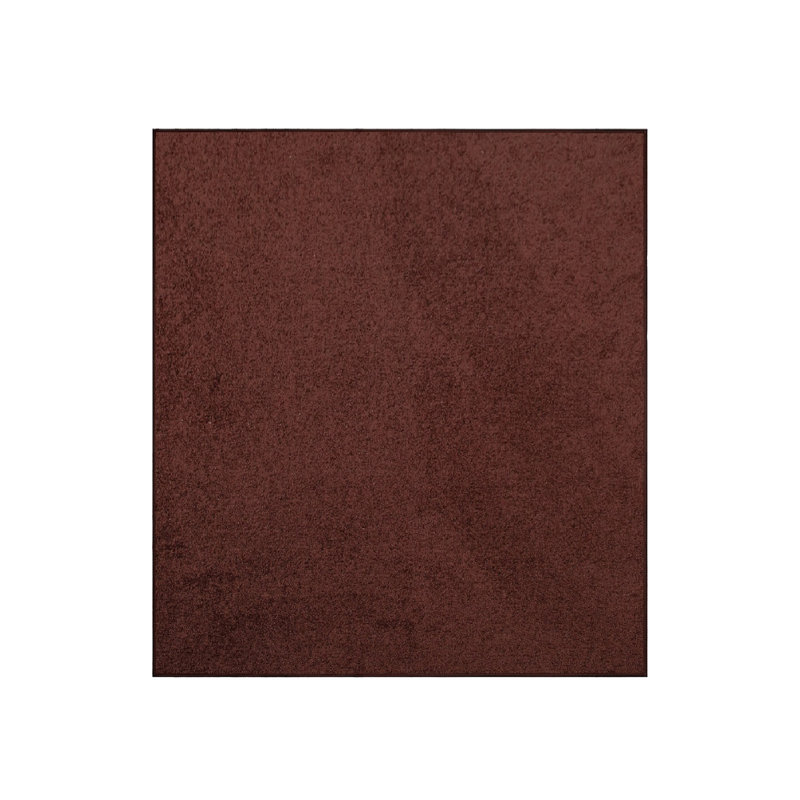 Modern Plush Pet and Kids Friendly Solid Color Chocolate Area Rugs, Stain & Fade Resistance, Perfect for Living Room, Dining Room, Bedroom, Playroom and Kidsroom, Event, Wedding, Amberjo Rug