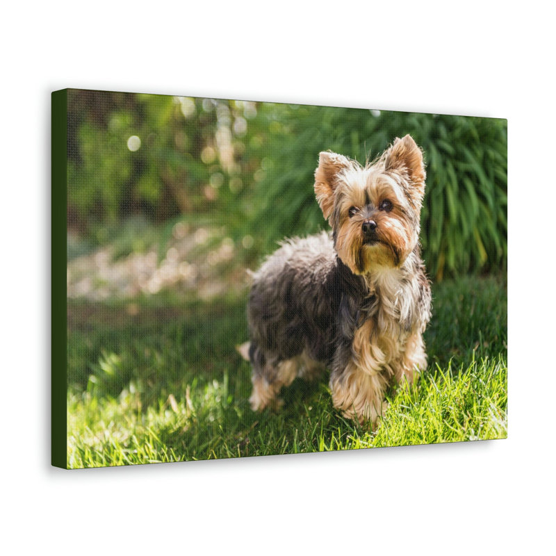 No Frame Print on Canvas, 27.94cm H x 35.56cm W
