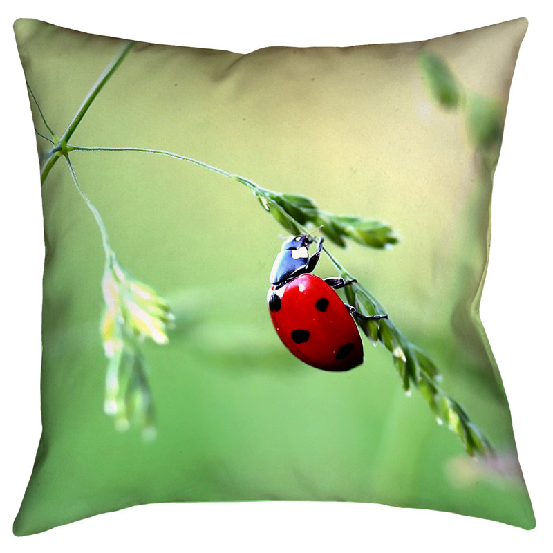Coussin Myriam, 26 po x 26 po