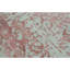 Windsom Oriental Area Rug