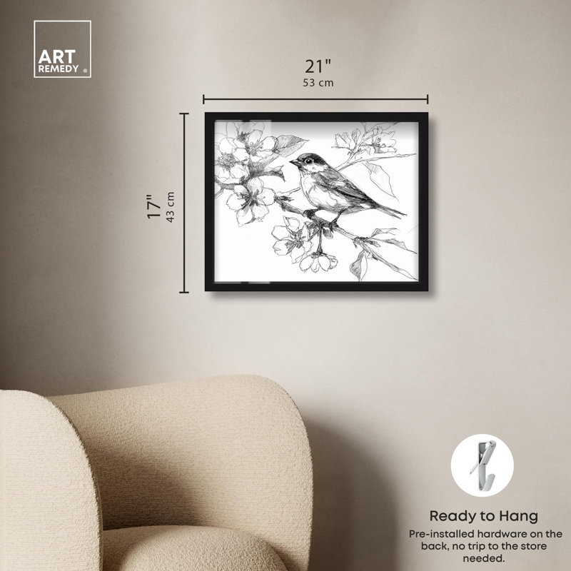 «Botanical S Croquis II» par Art Remedy, H 17 po x l 21 po, Noir