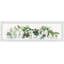 Reproduction d’art sur papier encadrée « tropical houseplants »-508439874