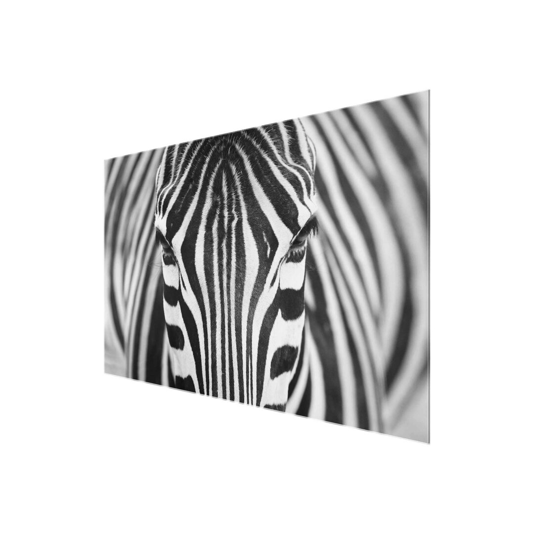 Glasbild Zebra Look