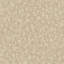 Surfaces Collection Bark Texture Wallpaper Roll-397560265