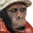 Golfer Monkey Statue