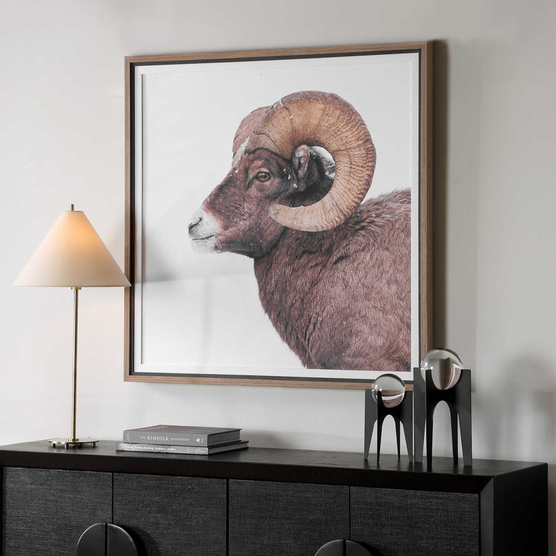  Big Horn Sheep Framed Print