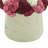 Assorted Sedum in Fiberstone Pot