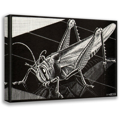 Grasshopper by M.C.Escher Gallery Wrapped Canvas