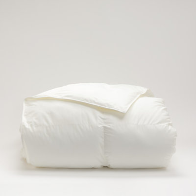 Cuddledown Chroma Down Alternative Comforter