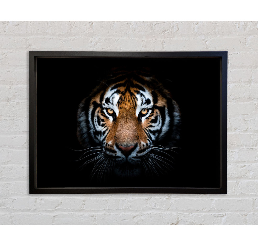 Tiger in the Dark - Bilderrahmen Kunstdrucke auf Leinwand