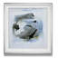 Cool Water III - Imprimé-32971520-40497126