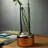 Contour Handmade Lead Free Crystal Table Vase