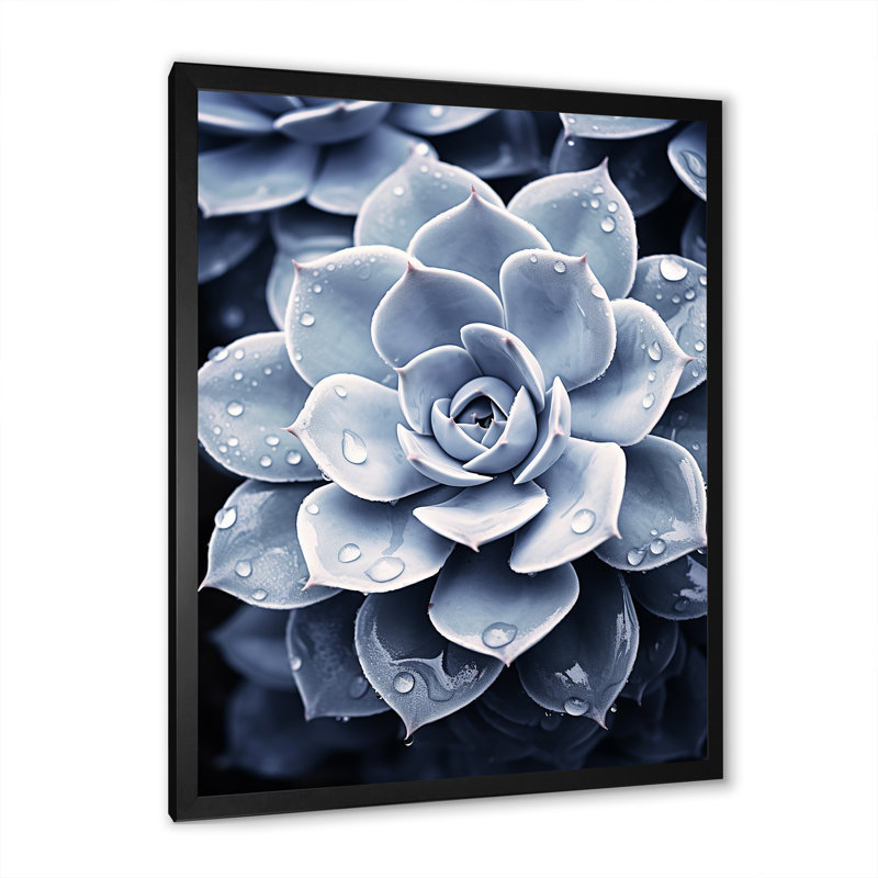 Bleu plante grasse I, Cadre simple noir, H 32 po x l 16 po x P 1 po