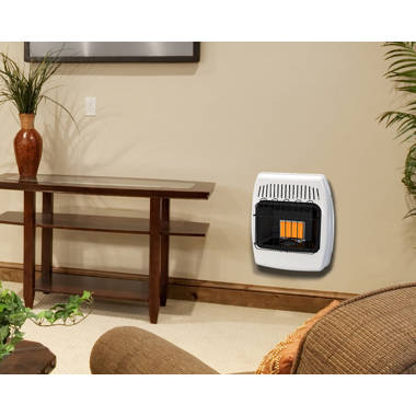 Dyna-Glo 6000 BTU BTU Natural Gas Wall Mounted Space Heater with Adjustable  Thermostat u0026 Reviews | Wayfair