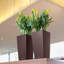 Cubico Pot Planter-16493082-16493085