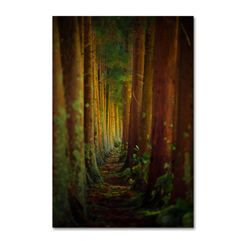 Art mural sur toile tendue - "Rui Caria", art mural pour salon, chambre à coucher ou bureau - 22 x 32, H 32 po x l 22 po