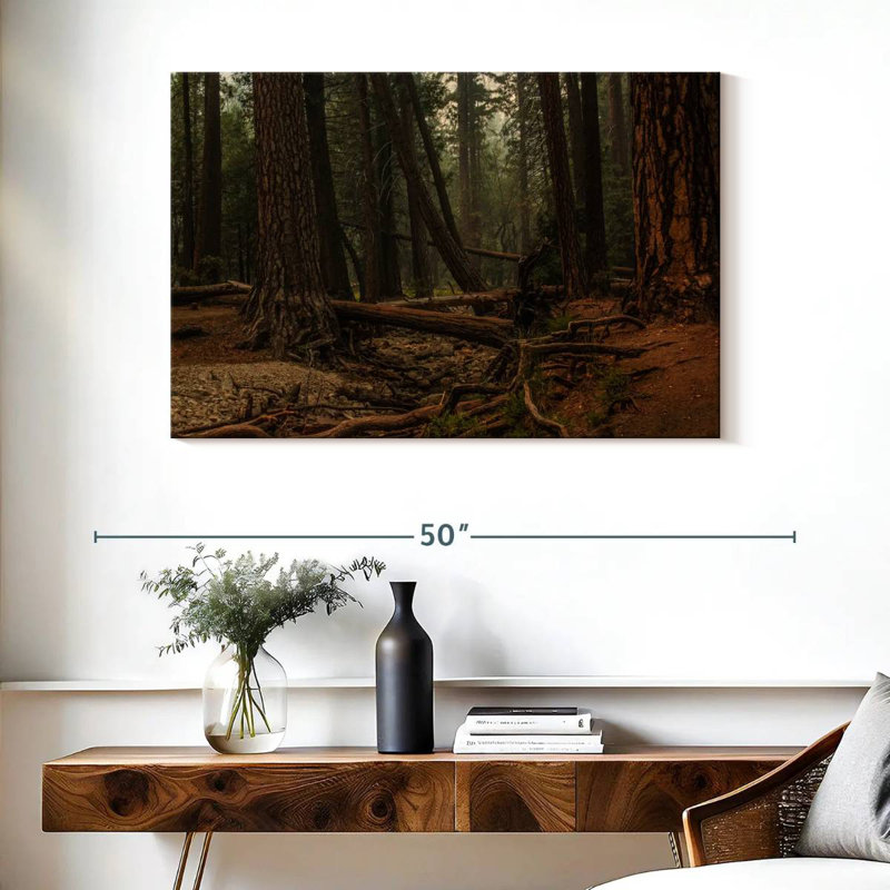 Harnek, séquoia, forêt