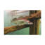 Art mural majestueux Zander-1082250736