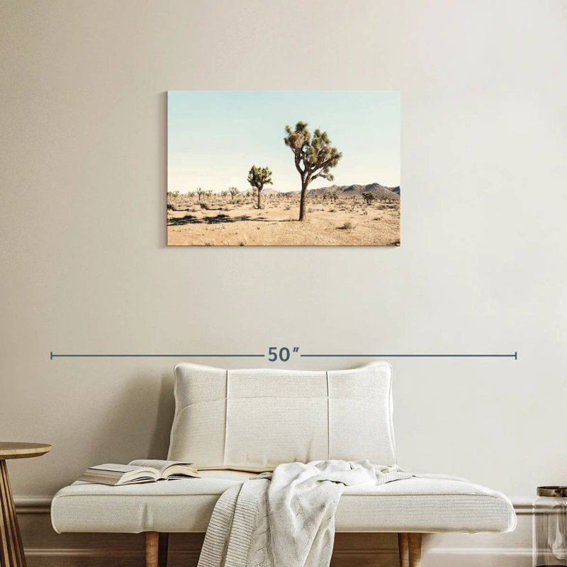 Joshua Tree Desert, H 20 po x l 30 po