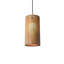 Living Hinges 1 - Light Pendant-669531261-669531262