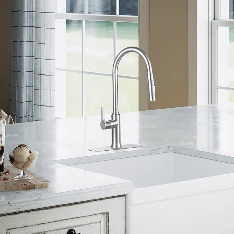 Pull Out Single Handle Kitchen Faucet with Double Function Sprayer Head, With Deck Plate