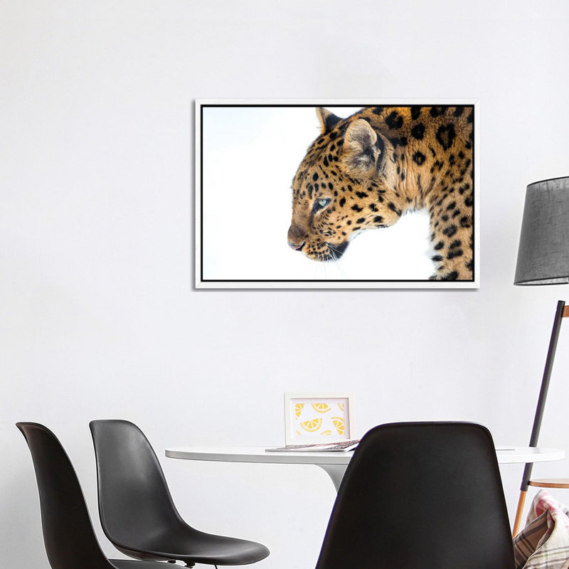 Big Cat by David Gardiner - Print on Canvas, White Framed, 101.6 cm H x 66.04 cm W