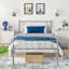 Delaenie Metal Platform Bed-471997033-534920299