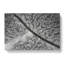 Road Through The Winter Forest - Wrapped Canvas-55338895