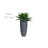38 " H Faux Agave Succulent in Glass Planter