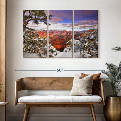 Alvord Snowy Grand Canyon II