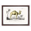 Camel Illustration by Charles d'Orbigny - Picture Frame Painting Print-55514035-55514038