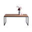Lowenstein Sled Coffee Table