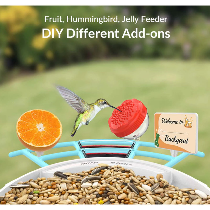 Extension de perchoir Birdfy Pro pour mangeoires d'oiseaux Smart Birdfy - bleu