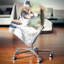 Jack Russell Terrier - coussin à imprimé animal-29517050-29517054