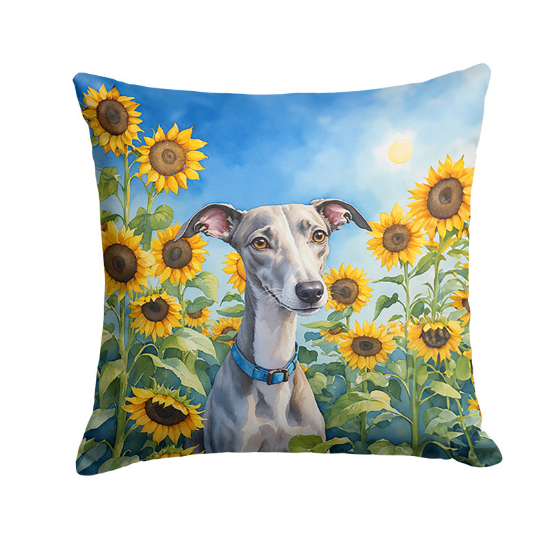 Other/No Pattern Outdoor Throw Pillow, 18" H x 18" W
