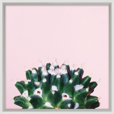Cacti On Pink 2 Print by Mat Sanders