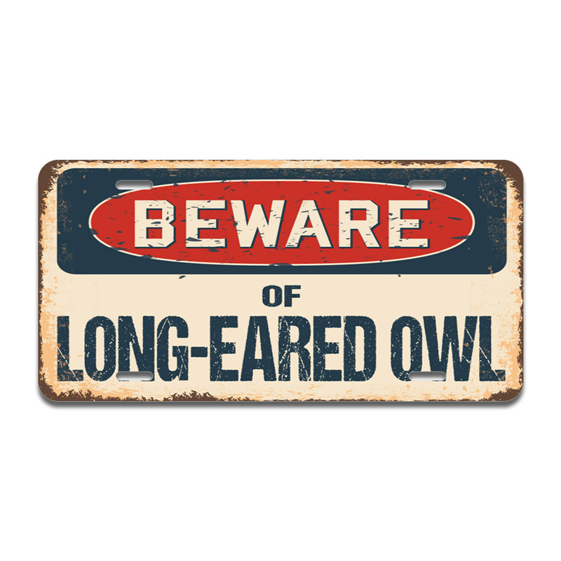 Beware of Long-Eared Owl