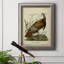 Audubon Wild Turquie - reproduction d'art sur toile-585684726