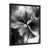 Cadre photo noir